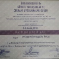 Resmi büyüt: certificate 7