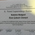 Resmi büyüt: certificate 9