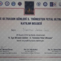 Resmi büyüt: certificate 16