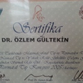 Resmi büyüt: certificate 4