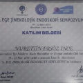 Resmi büyüt: certificate 5
