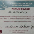 Resmi büyüt: certificate 7