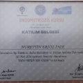 Resmi büyüt: certificate 2