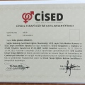 Resmi büyüt: certificate 2