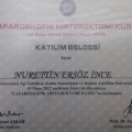 Resmi büyüt: certificate 1