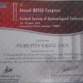 Resmi büyüt: certificate 3