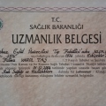 Resmi büyüt: certificate 2
