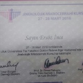 Resmi büyüt: certificate 11