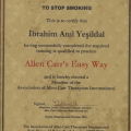 Resmi büyüt: certificate 5