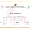 Resmi büyüt: certificate 2