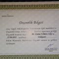 Resmi büyüt: certificate 1