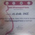 Resmi büyüt: certificate 17