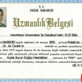 Resmi büyüt: certificate 1