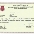 Resmi büyüt: certificate 1