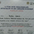 Resmi büyüt: certificate 8