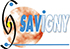 savigny