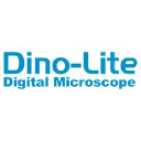 dinolite