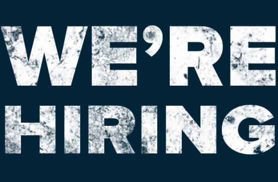 We are looking for a Digital Sales and Marketing Executive!