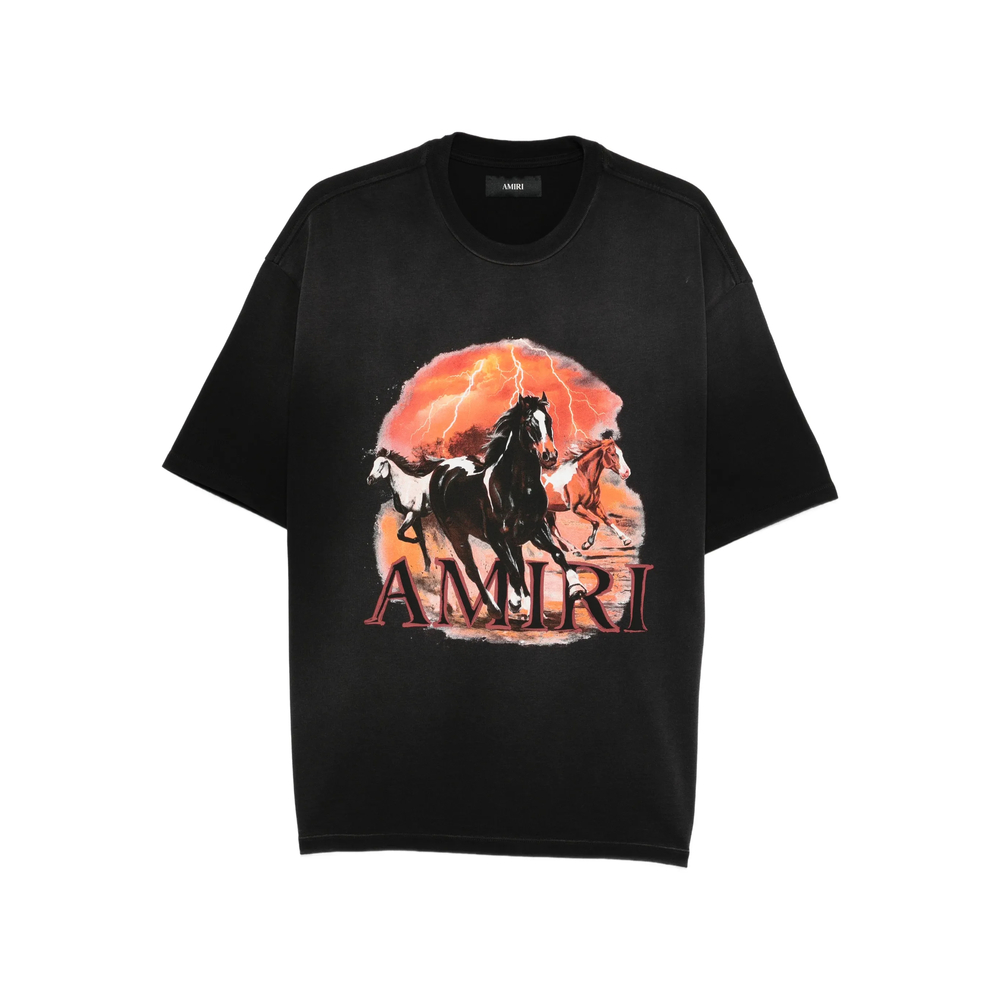 Amiri Plains Graphic T-shirt