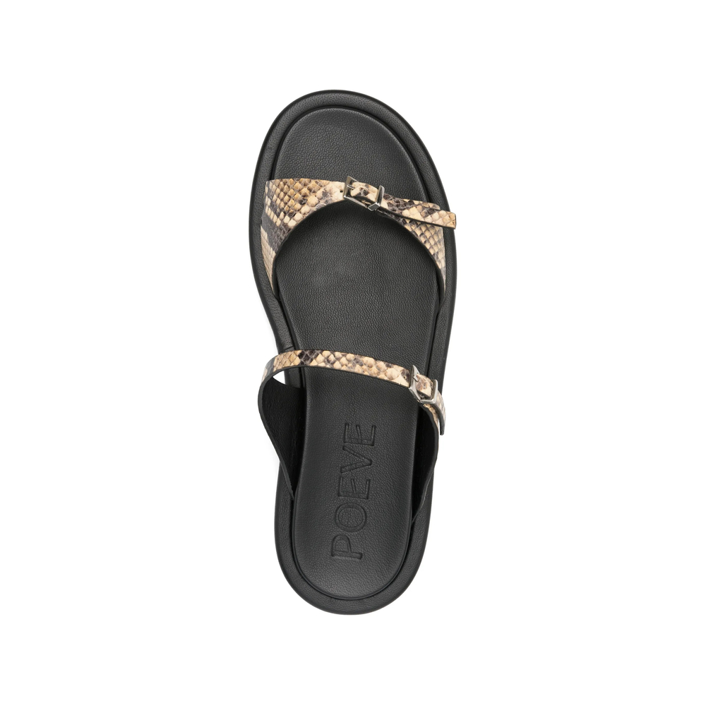 Buckle Sandals