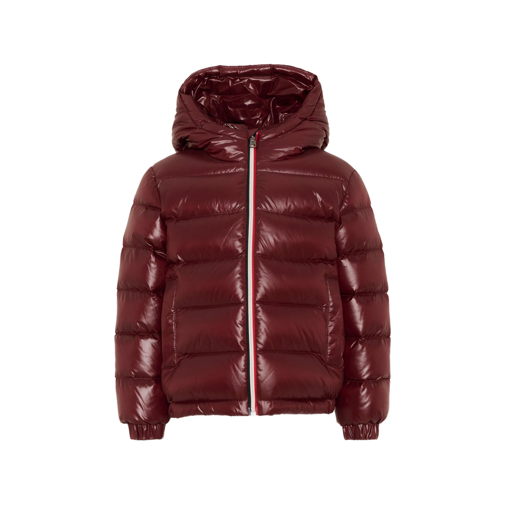 Moncler New Aubert Hooded Puffer Jacket