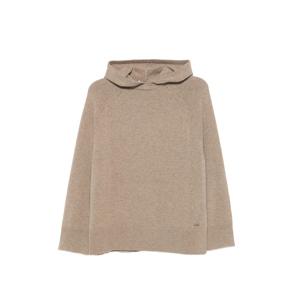 Max Mara Raglan-sleeve Cashmere Hoodie