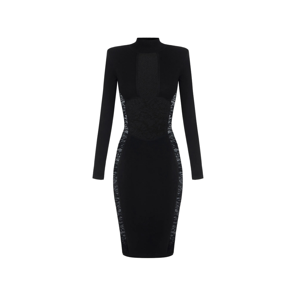 Elisabetta Franchi Lace-panelled Mesh-insert Dress