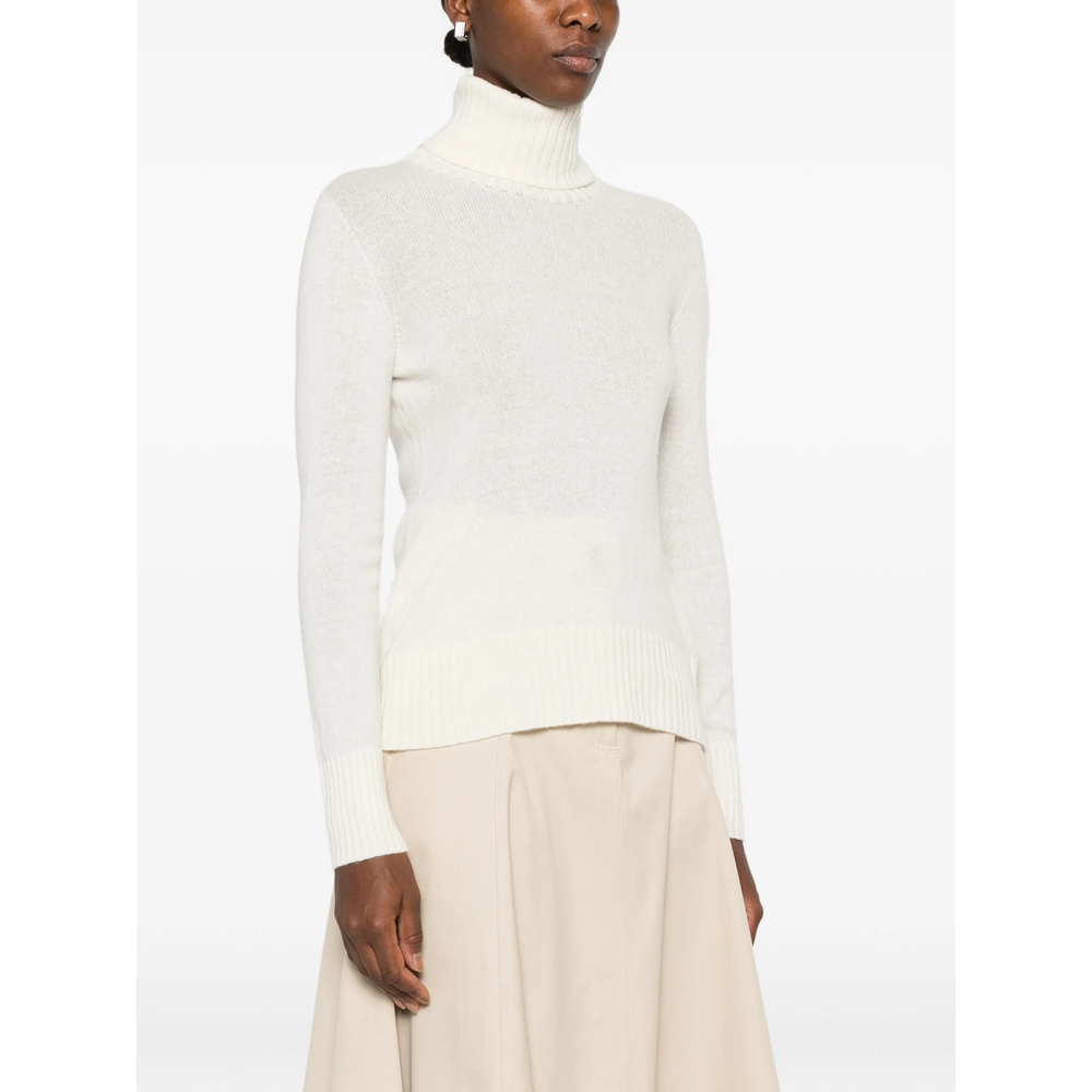 Roll-Neck Ribbed-Trim Sweater