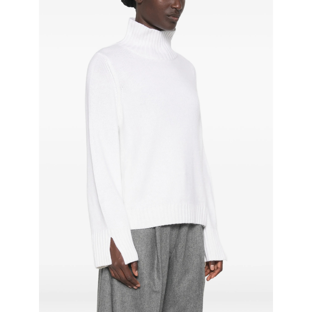 Ribbed Roll-Neck Sweater