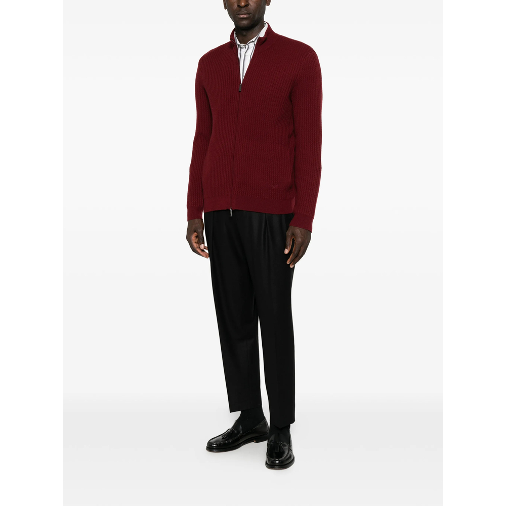 Pleated Trousers
