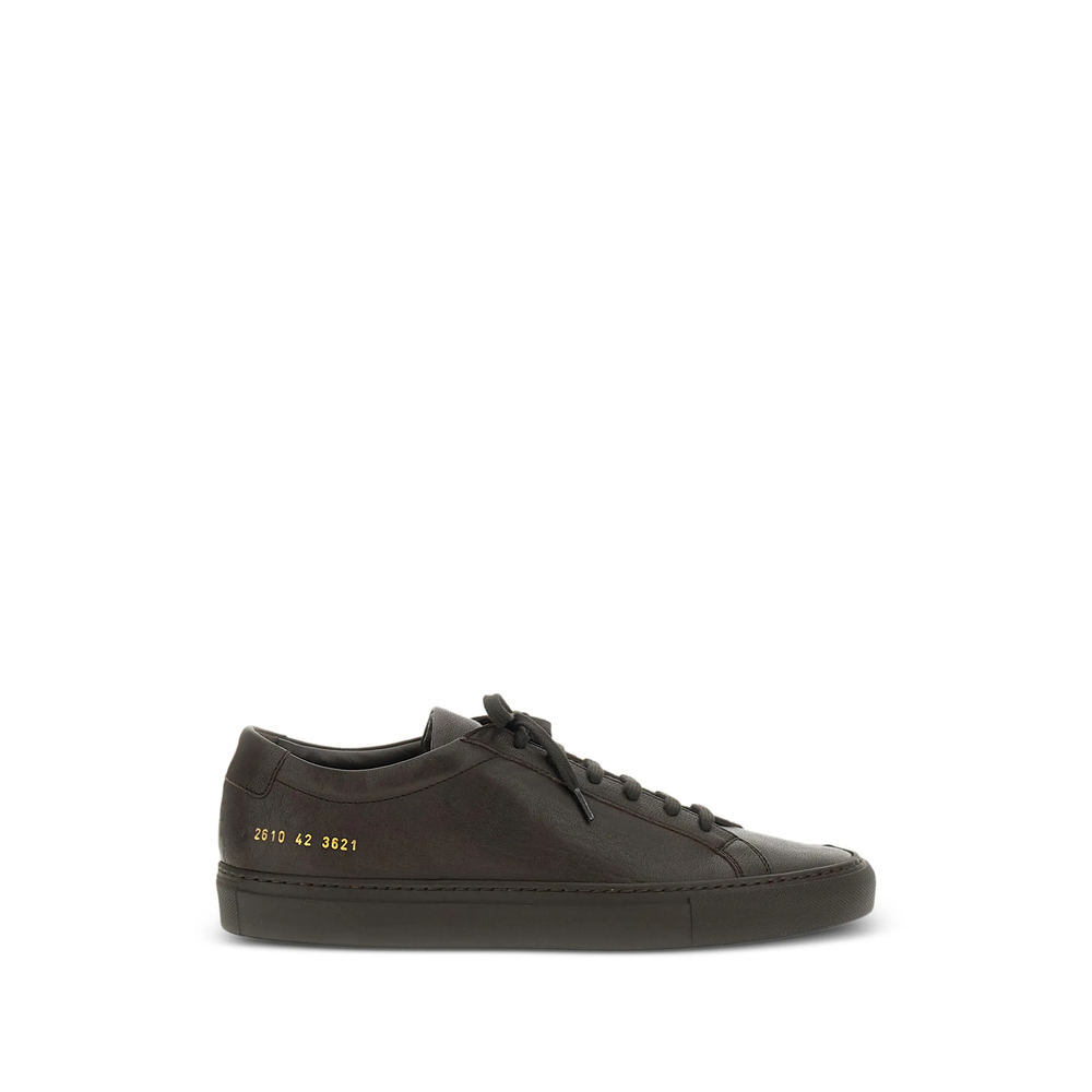 Common Projects Achille Low-top Sneakers In Brown