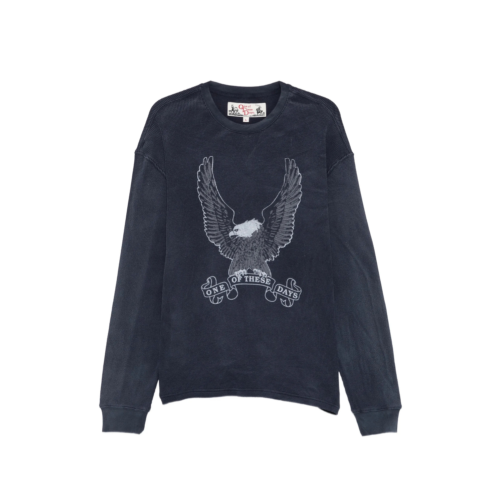 One Of These Days Eagle-print Waffle-knit Long-sleeve T-shirt