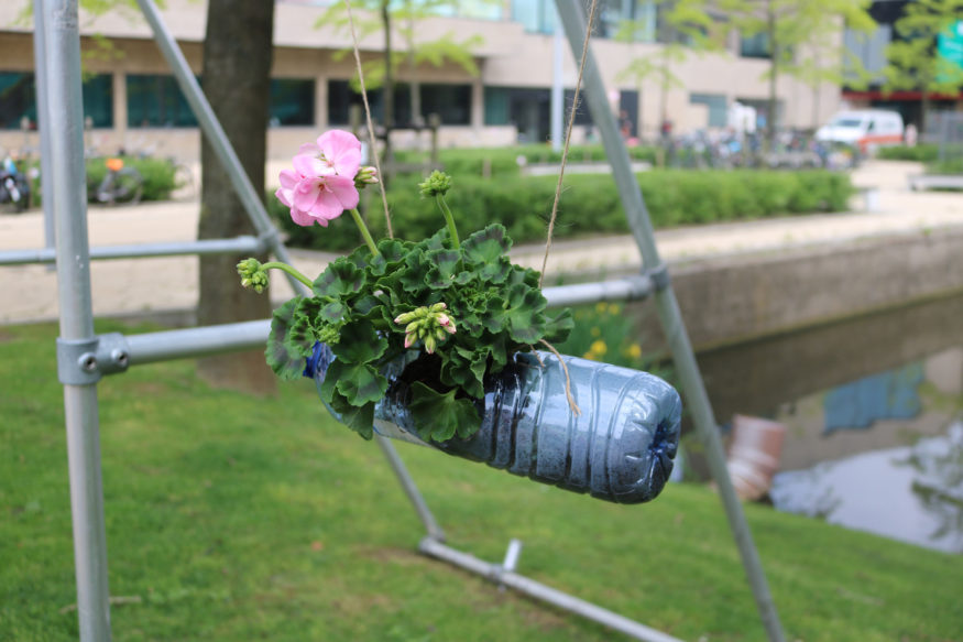 Flowers talk sustainable (2) (oud artikel)