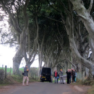Cowboy in Game of Thrones land IMG_3964