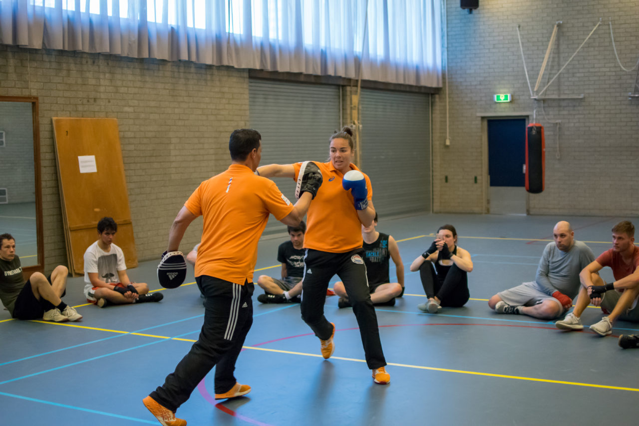 Boksen Fontijn 3