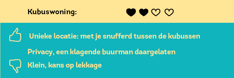Kubuswoning-NL
