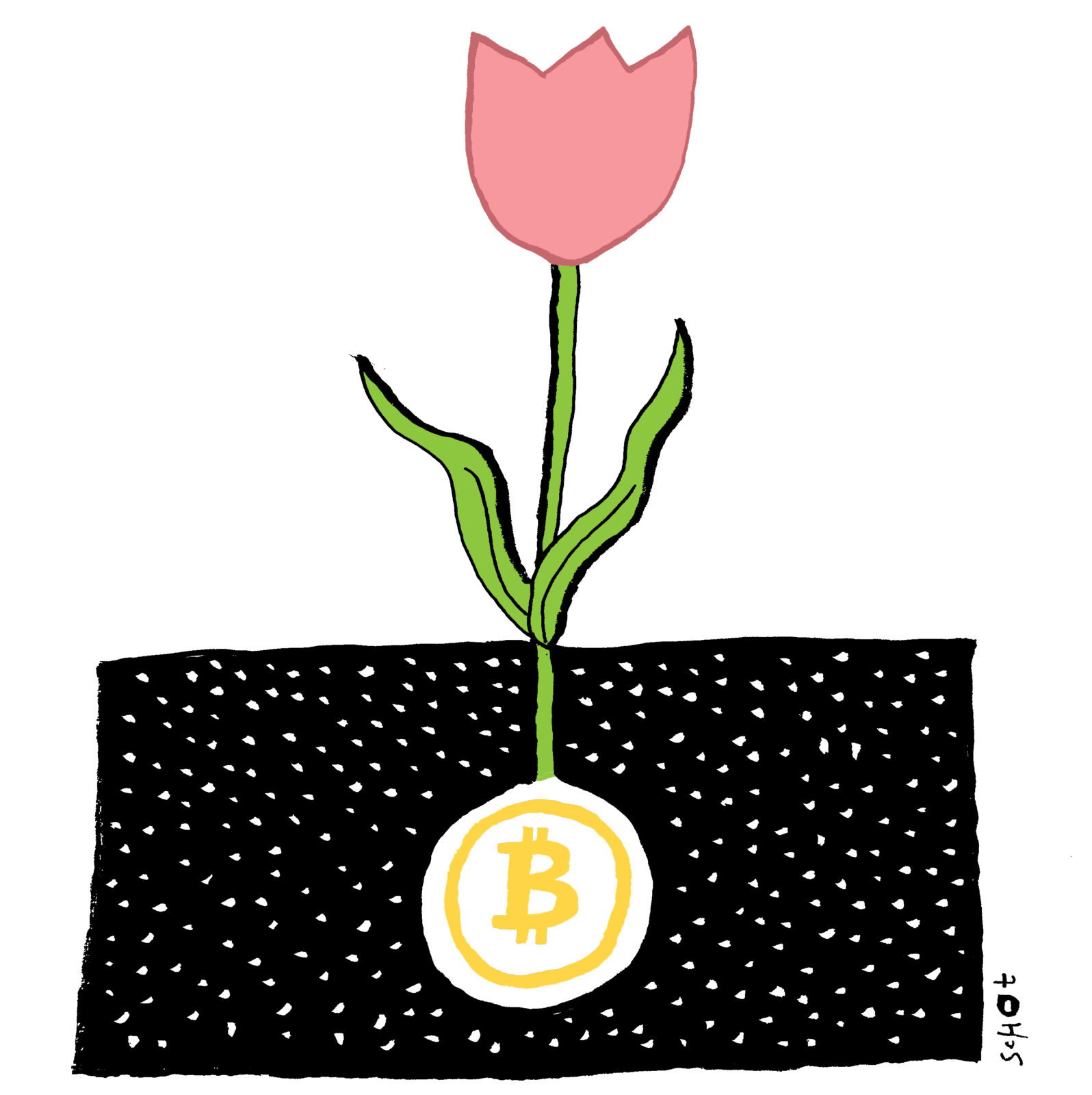De-kwestie-bitcoin-tulp-bas-van-der-schot2