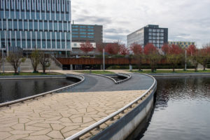 8.2.-waar-nu-de-vijver-is-2018_-foto-Ronald-Heerik