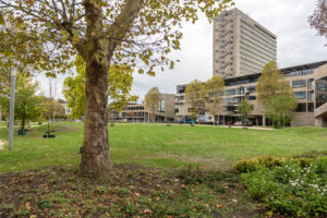 Park Noord op campus Woudestein