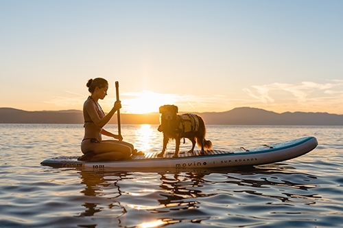 Con il cane non si sta mai fermi! Attività sportive da fare insieme al tuo amico a quattro zampe