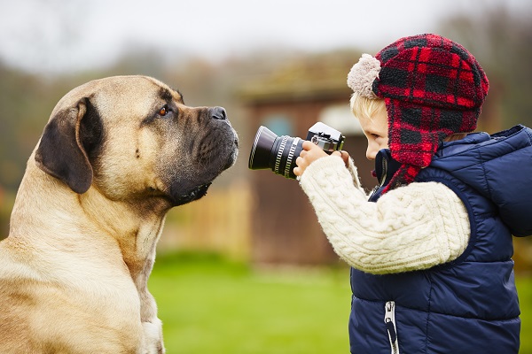 How To Take The Perfect Pet Picture