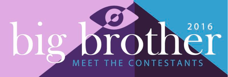 Big Brother Infographic