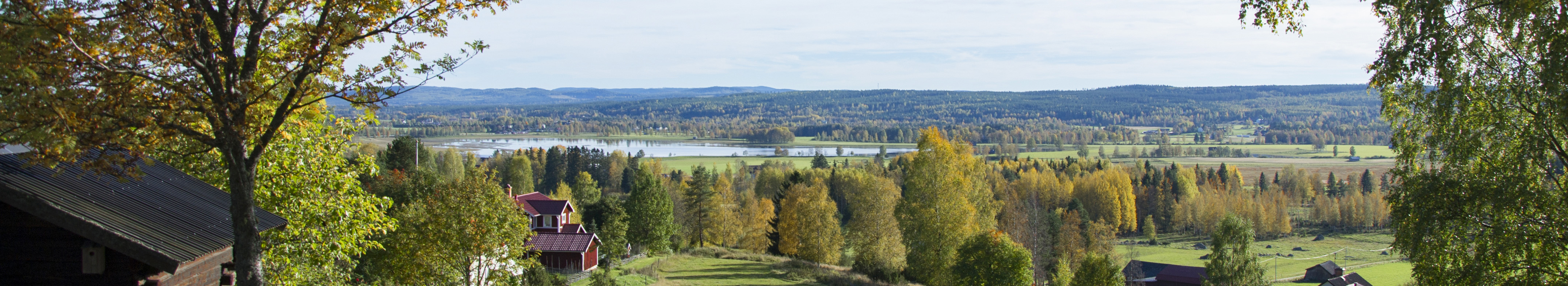 Föreningsservice - Ovanåker