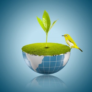 shutterstock_129410573