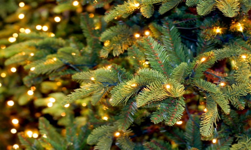Christmas lights