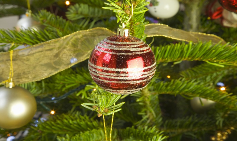 Real Christmas Tree