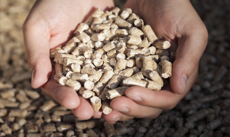 Wood pellets