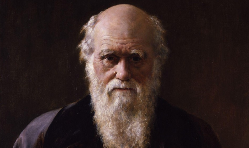 ESL_Darwin