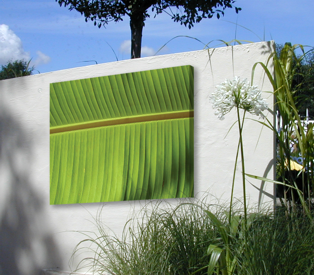 Leaf Lines Outdoor Art Canvas, Insideout Garden Art £275.00
