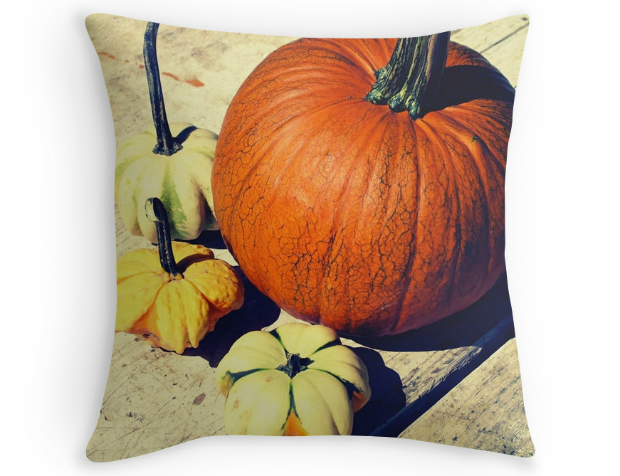 Pumpkin and Squash, Redbubble £20.57